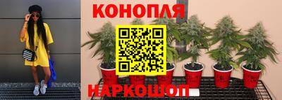 крисы Гусев