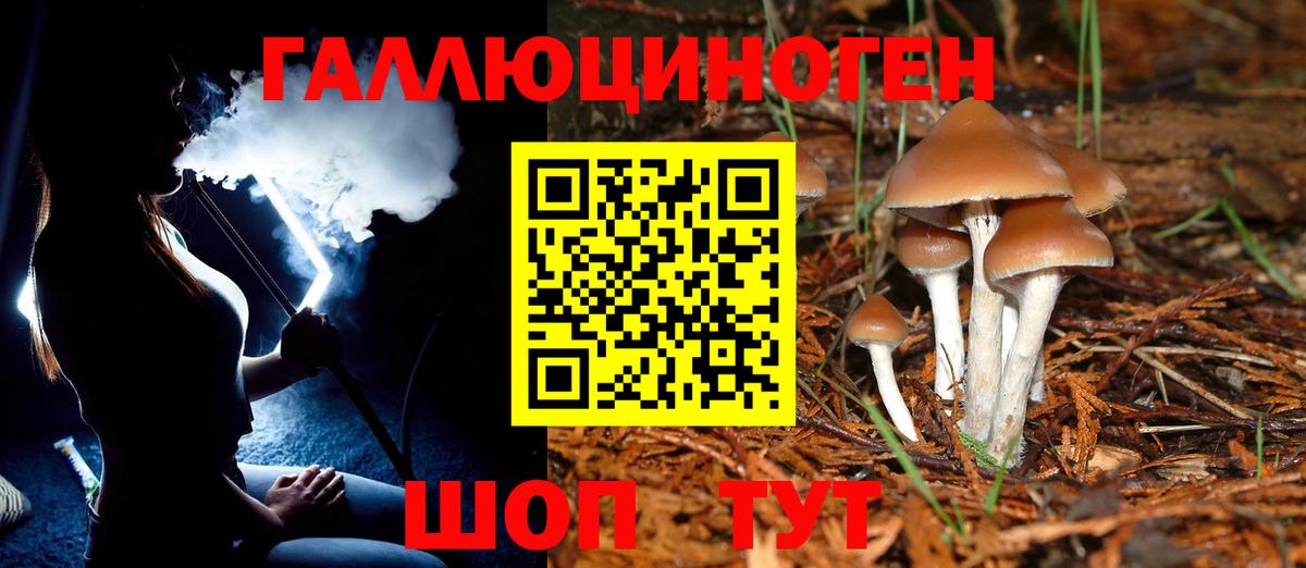 Галлюциногенные грибы GOLDEN TEACHER  где найти   Каспийск  Вход с VPN 